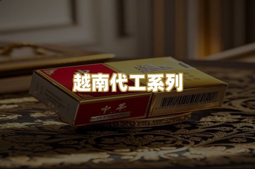 越南代工系列
